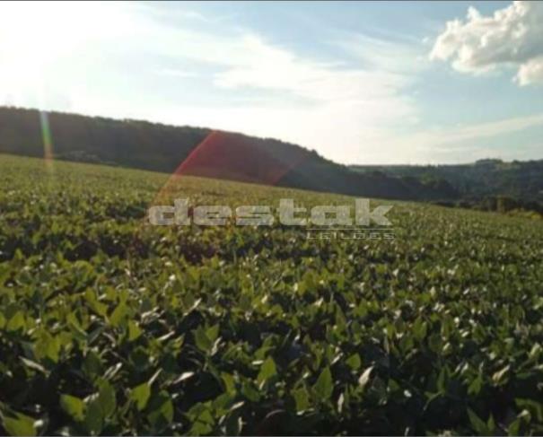 Foto de Imóvel Rural em Coronel Vivida/PR