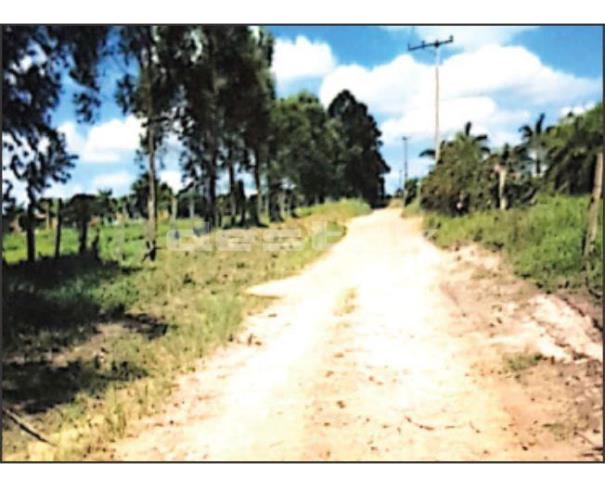Foto de Sitio Cascatinha em Limeira/SP
