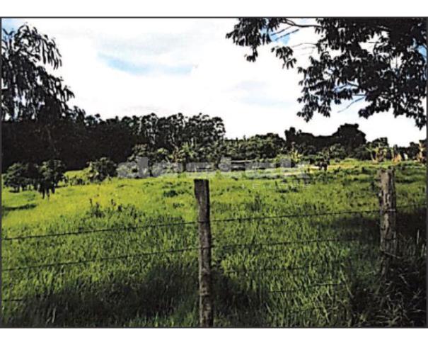 Foto de Sitio Cascatinha em Limeira/SP