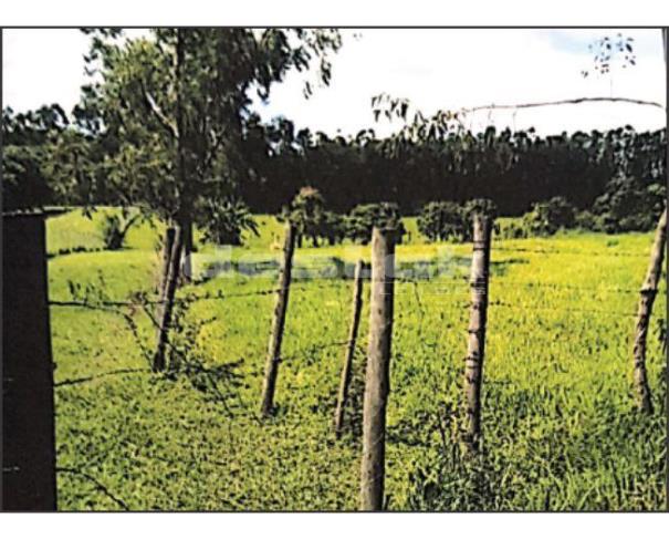 Foto de Sitio Cascatinha em Limeira/SP