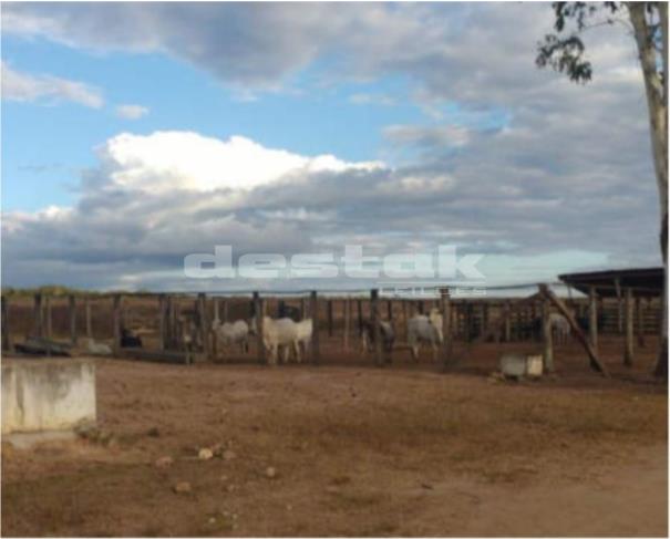 Foto de Fazenda Buriti Alto I em Ribeiro Gonçalves/PI