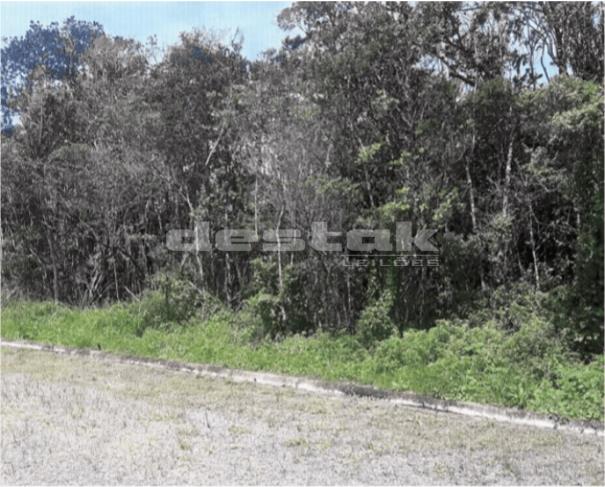 Foto de Lote em Itanhaém 