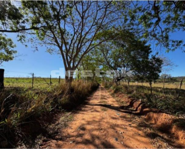Foto de Imóvel Rural Sítio Santa Helena II em Oriente/SP