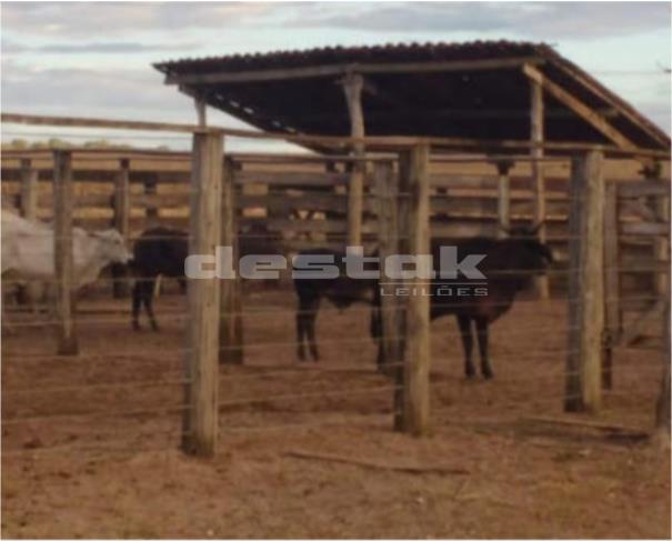 Foto de Fazenda Buriti Alto I em Ribeiro Gonçalves/PI