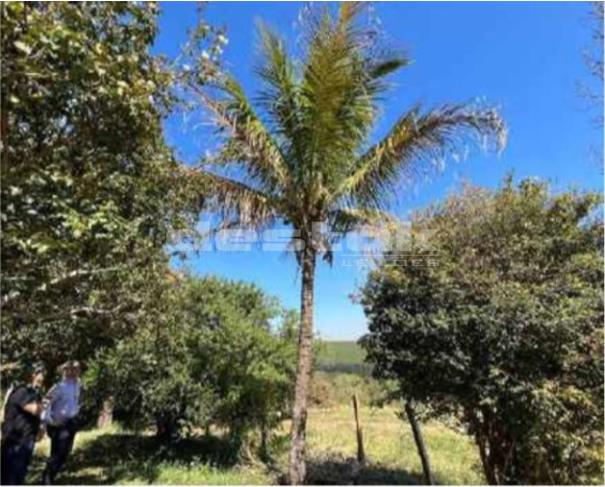Foto de Fazenda e Terreno em Serra Negra/SP - Unificado