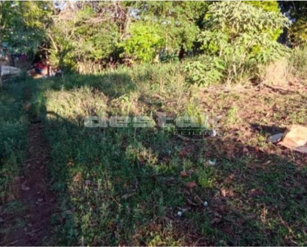 Foto de Terreno em Marmeleiro/PR