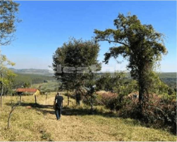 Foto de Fazenda em Serra Negra/SP