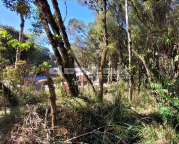 Foto de Terreno em Campos do Jordão/SP