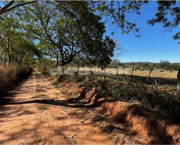 Foto de Imóvel Rural Sítio Santa Helena II em Oriente/SP