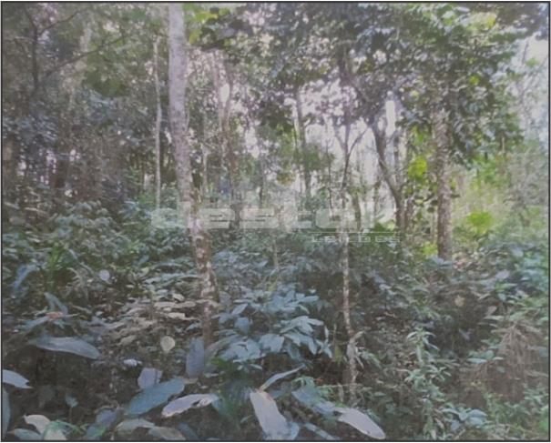 Foto de Terreno de 400M² - Itapevi/SP