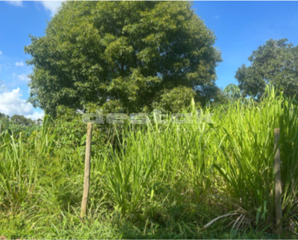 Foto de Terreno em Tangará da Serra/MT