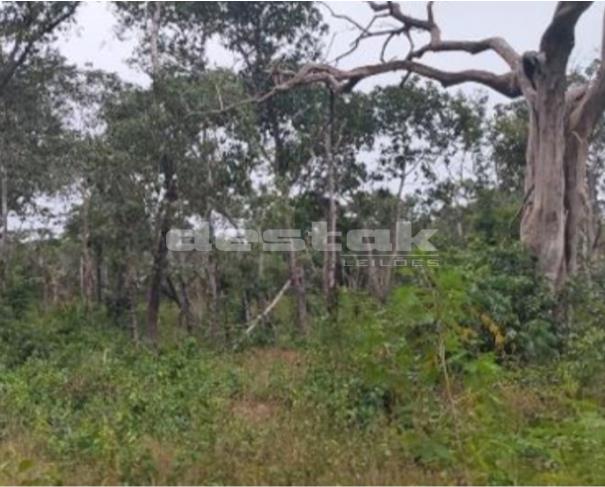 Foto de Área de terras em Santo Antônio de Leverger/MT