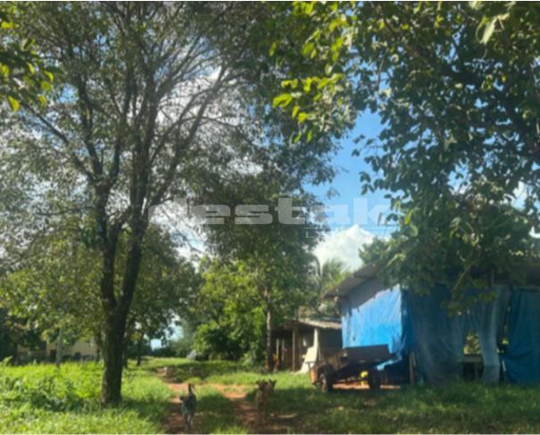 Foto de Terreno em Tangará da Serra/MT