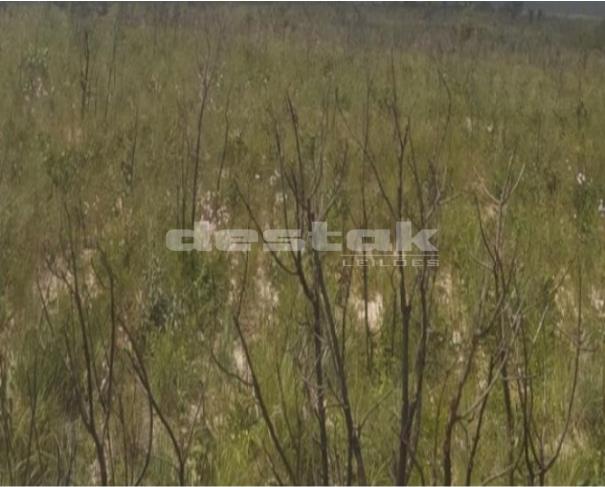 Foto de Terreno em Mateiros/TO