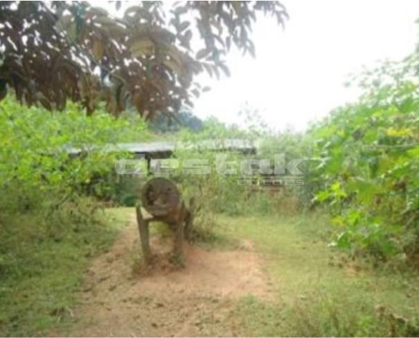 Foto de Gleba de Terras na Fazenda Bucaína em Piranhas/GO
