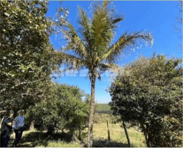 Foto de Fazenda em Serra Negra/SP