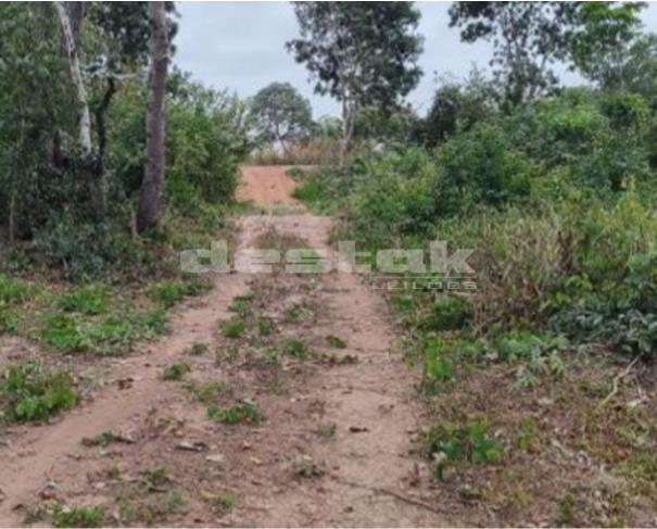 Foto de Área de terras em Santo Antônio de Leverger/MT