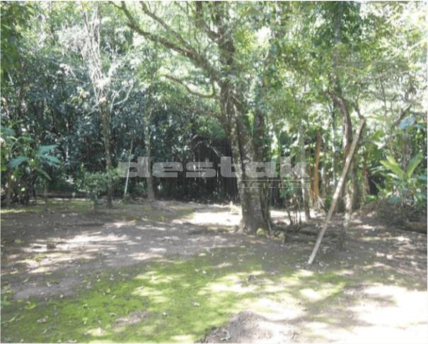 Foto de Sitio Ishimoto em Piedade