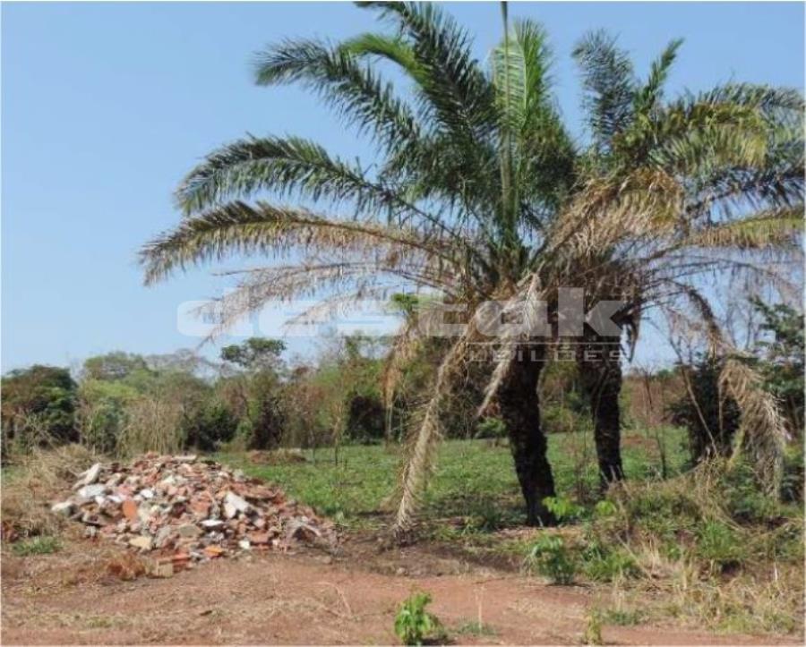 Fazenda em Goiânia/GO Fazenda em Goiânia/GO, localizado em Goiânia - GO