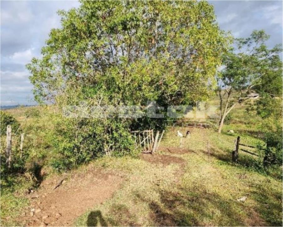 Outros em leilão em Rosário do Sul/RS