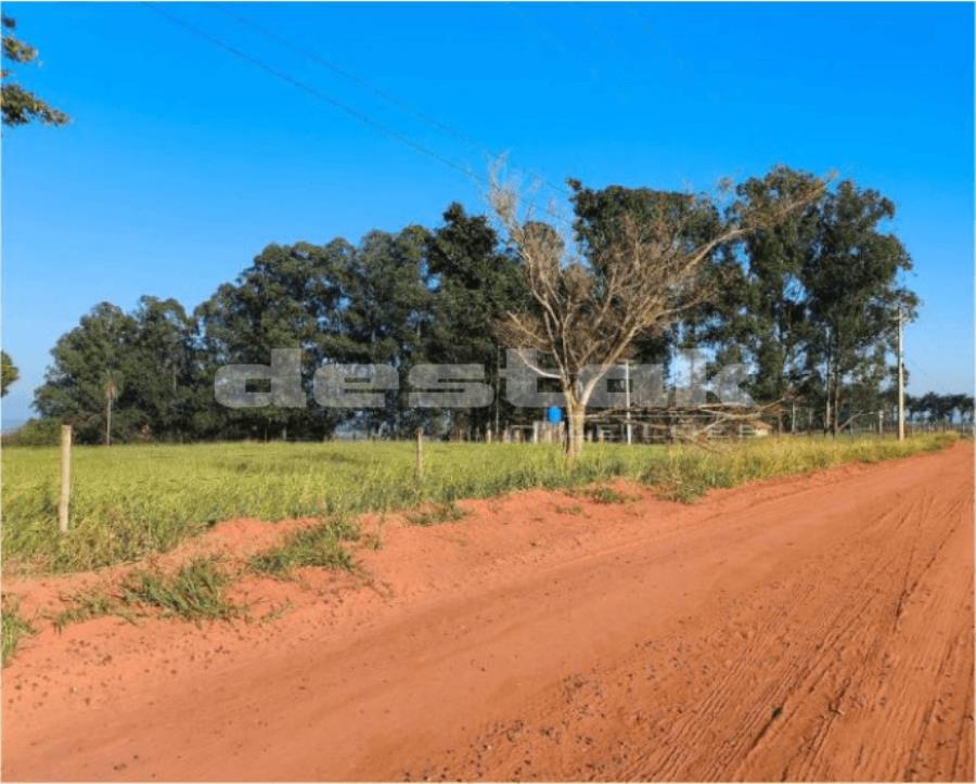 33% de Imóvel Rural 33% de Imóvel Rural, localizado em Bauru - SP, bairro Tibiriçá