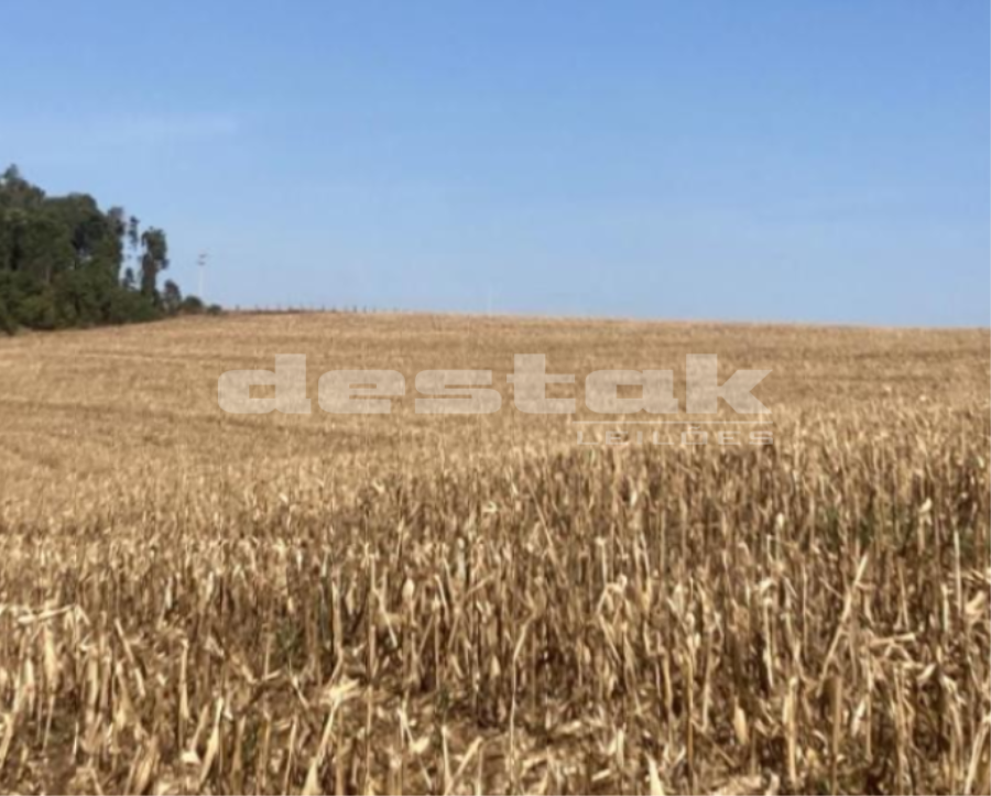 Área de Terras em Sorriso/MT Área de Terras em Sorriso/MT, localizado em Sorriso - MT