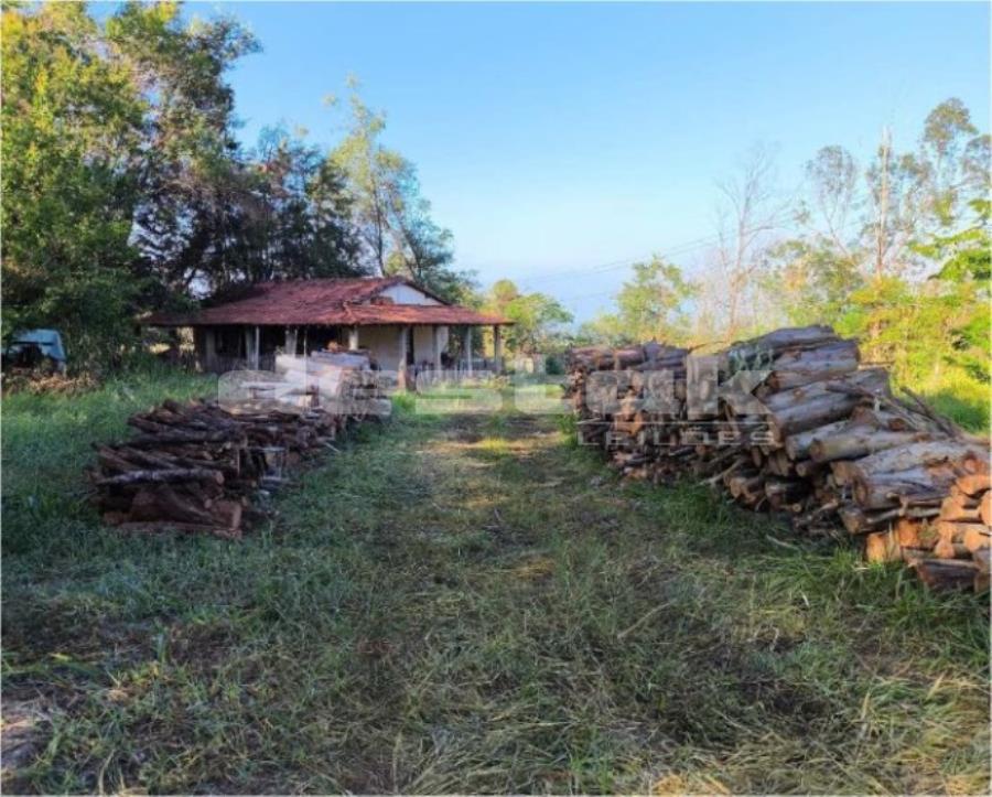 33% de Imóvel Rural 33% de Imóvel Rural, localizado em Bauru - SP, bairro Tibiriçá