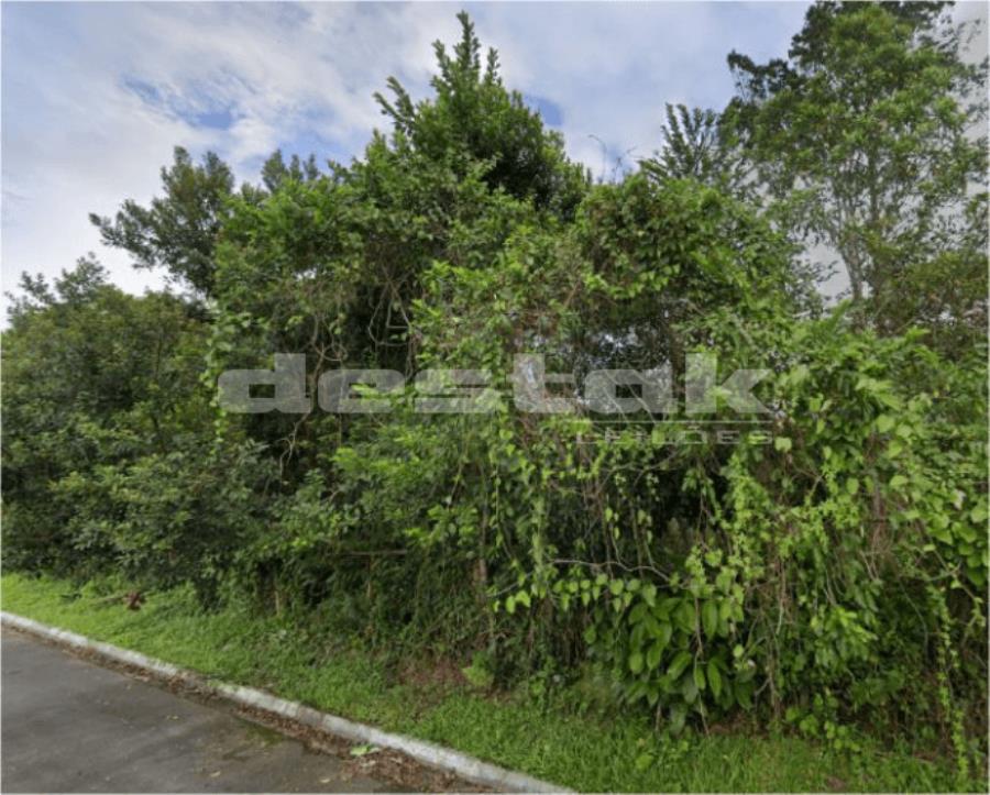 Terreno em leilão em Cananéia/SP