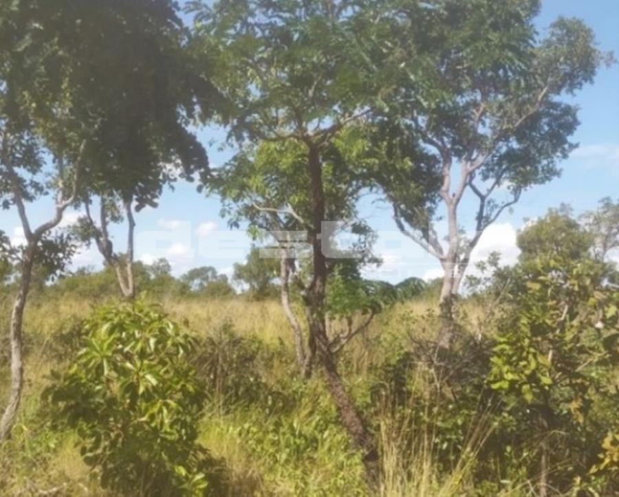 Terreno em Mateiros/TO Terreno em Mateiros/TO, localizado em Mateiros - TO
