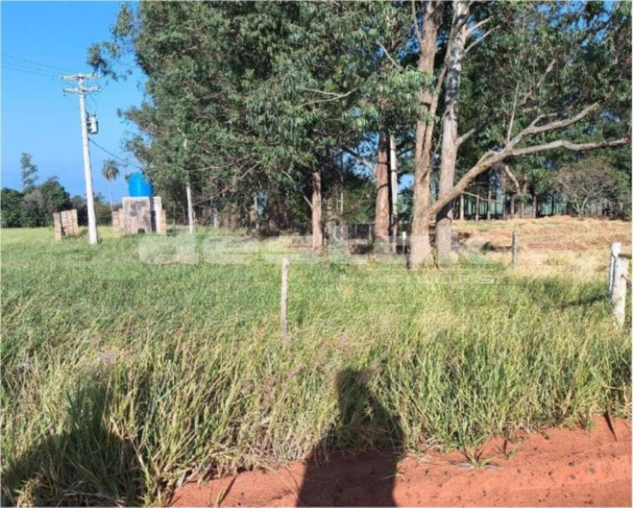 33% de Imóvel Rural 33% de Imóvel Rural, localizado em Bauru - SP, bairro Tibiriçá