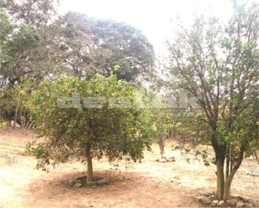 Terreno no Capão Redondo - Sorocaba/SP Terreno no Capão Redondo - Sorocaba/SP, localizado em Sorocaba - SP